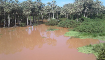 Muita chuva em São José do Peixe e região